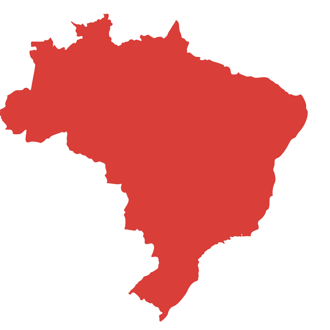 imagem vetorizada do Brasil
